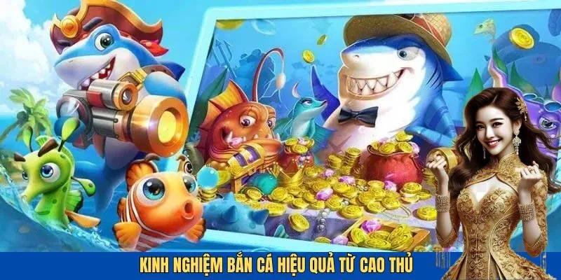 Kinh nghiệm bắn cá được chia sẻ từ các cao thủ