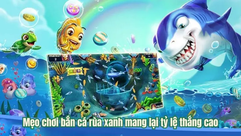 Mẹo chơi bắn cá rùa xanh mang lại tỷ lệ thắng cao