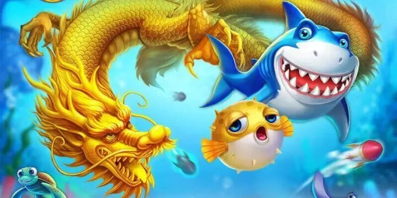 Tổng quan một vài thông tin cần nắm được về nỏ bắn cá